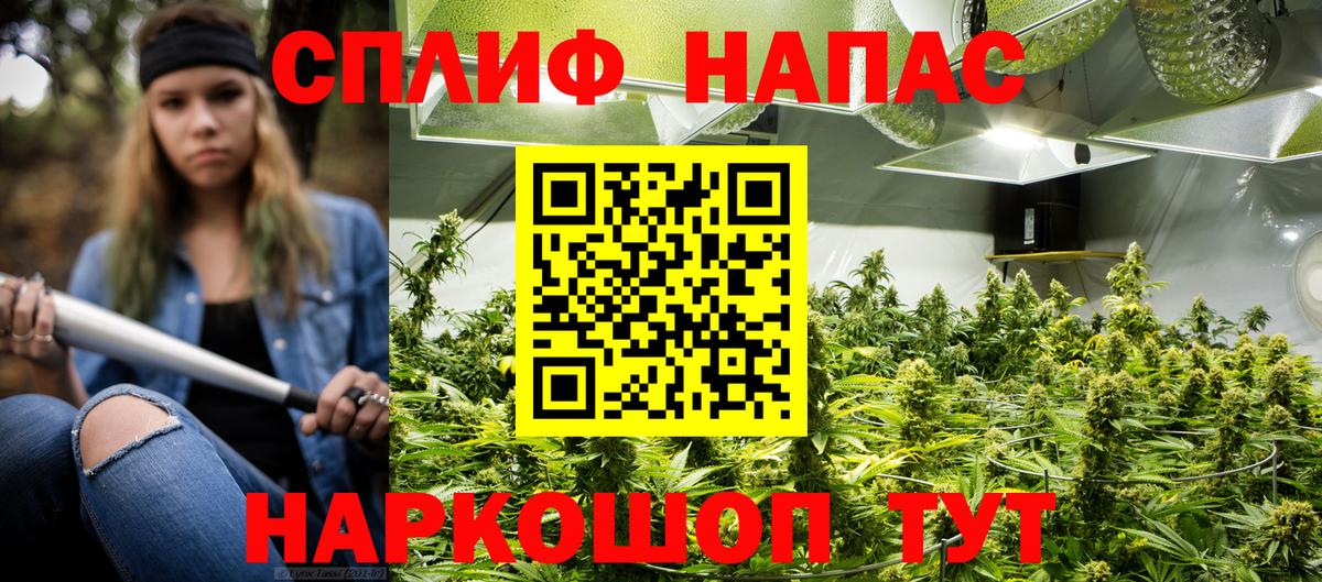 МАРИХУАНА семена Кубинка